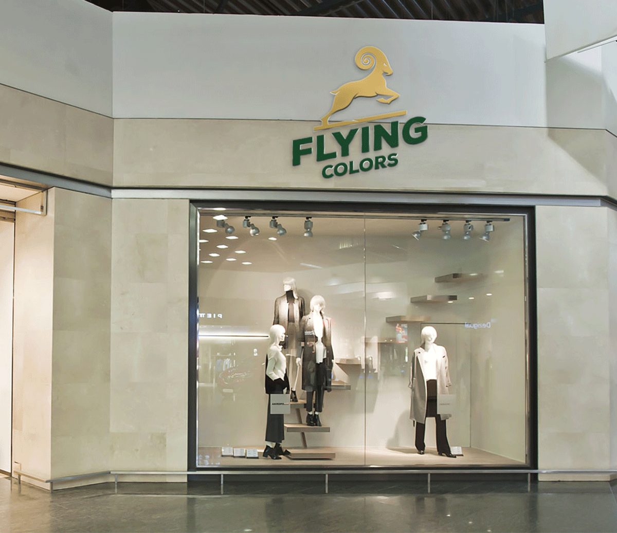 flying-color-models