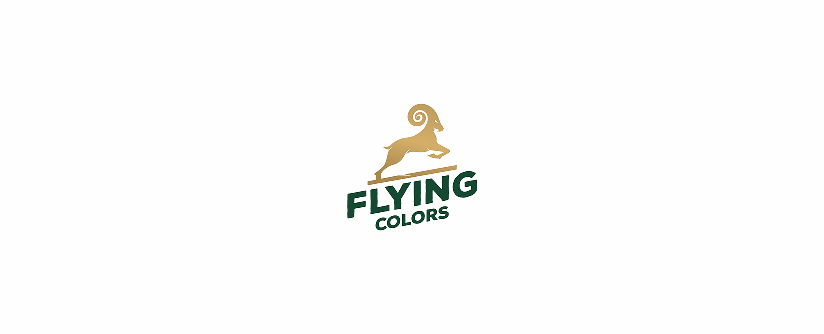 flyng-color-logowhite