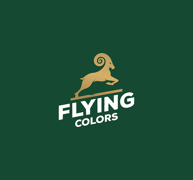 Flying Colors